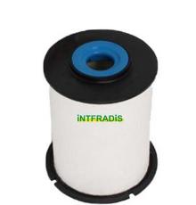 INTFRADIS 101204
